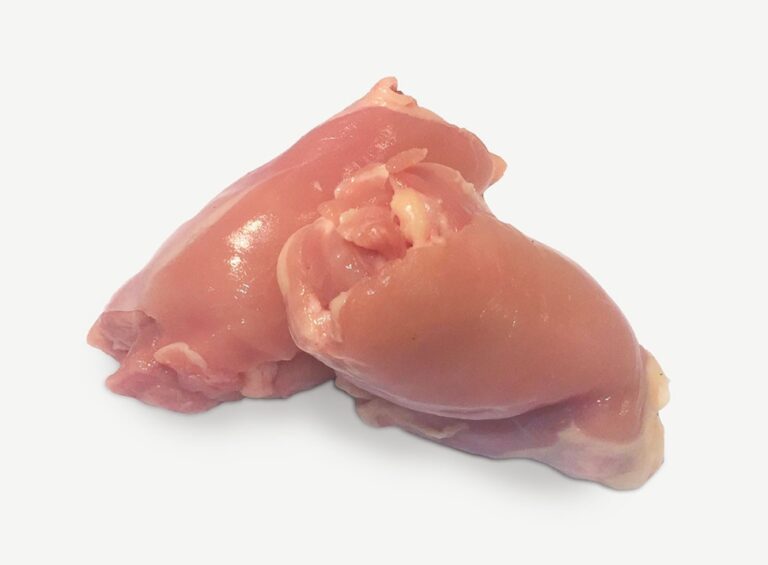 Alimentation Shih Tzu : Conseils Experts pour une Nutrition Idéale